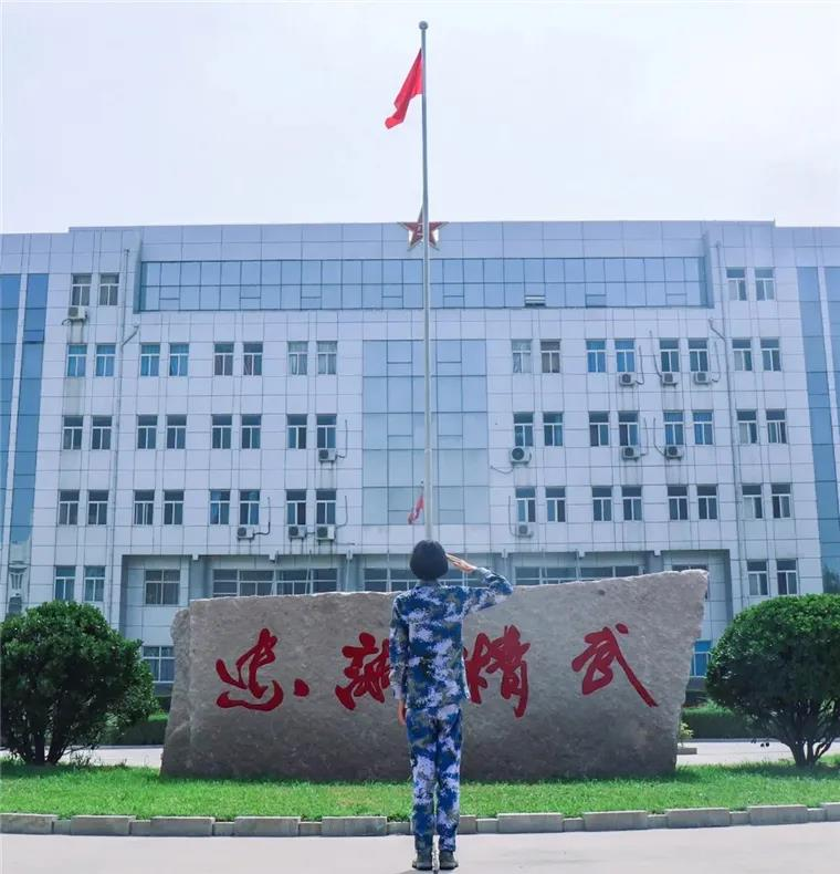 图片 11